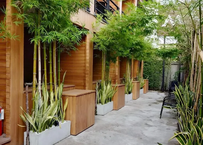 The M Pool - Bts Ekkamai Hotel